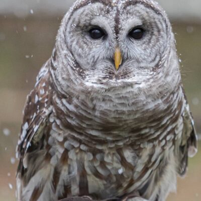 Image for choice number 6