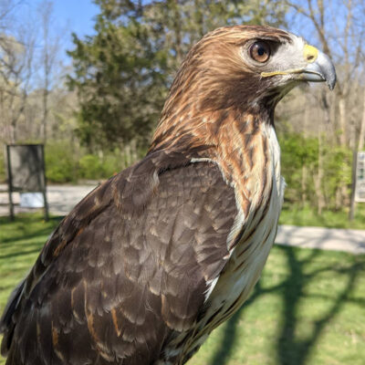 Image for choice number 13