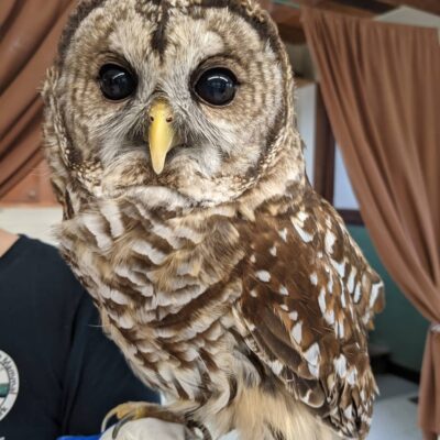 Image for choice number 5