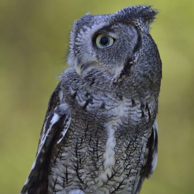 Image for choice number 3