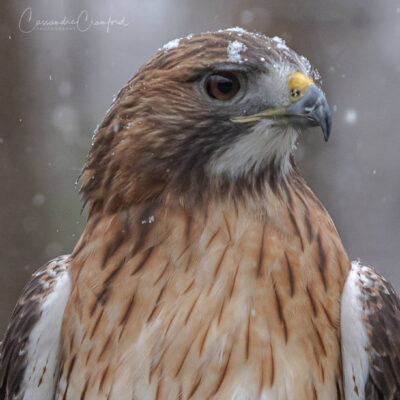 Image for choice number 14