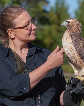 Raptor Drawing Class