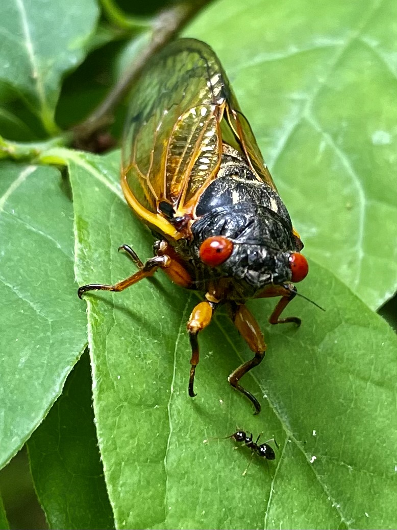 2026 – Calendar Photo Contest41